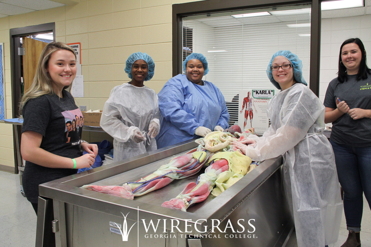 Students learn about internal organs