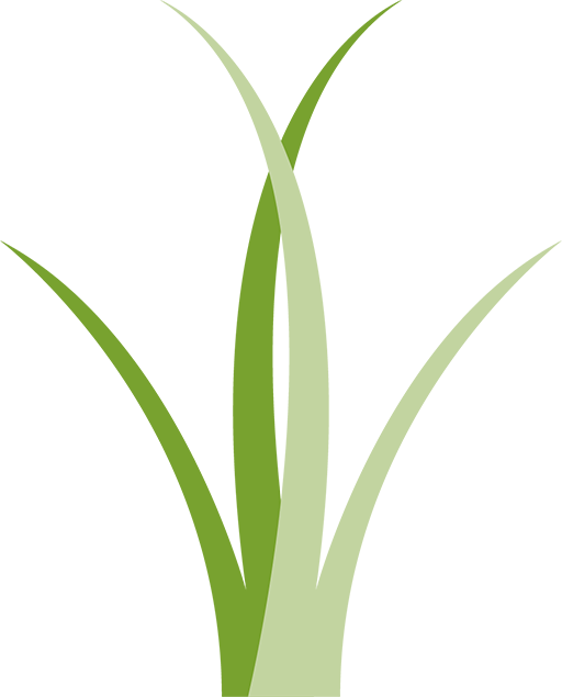 Wiregrass grass logo