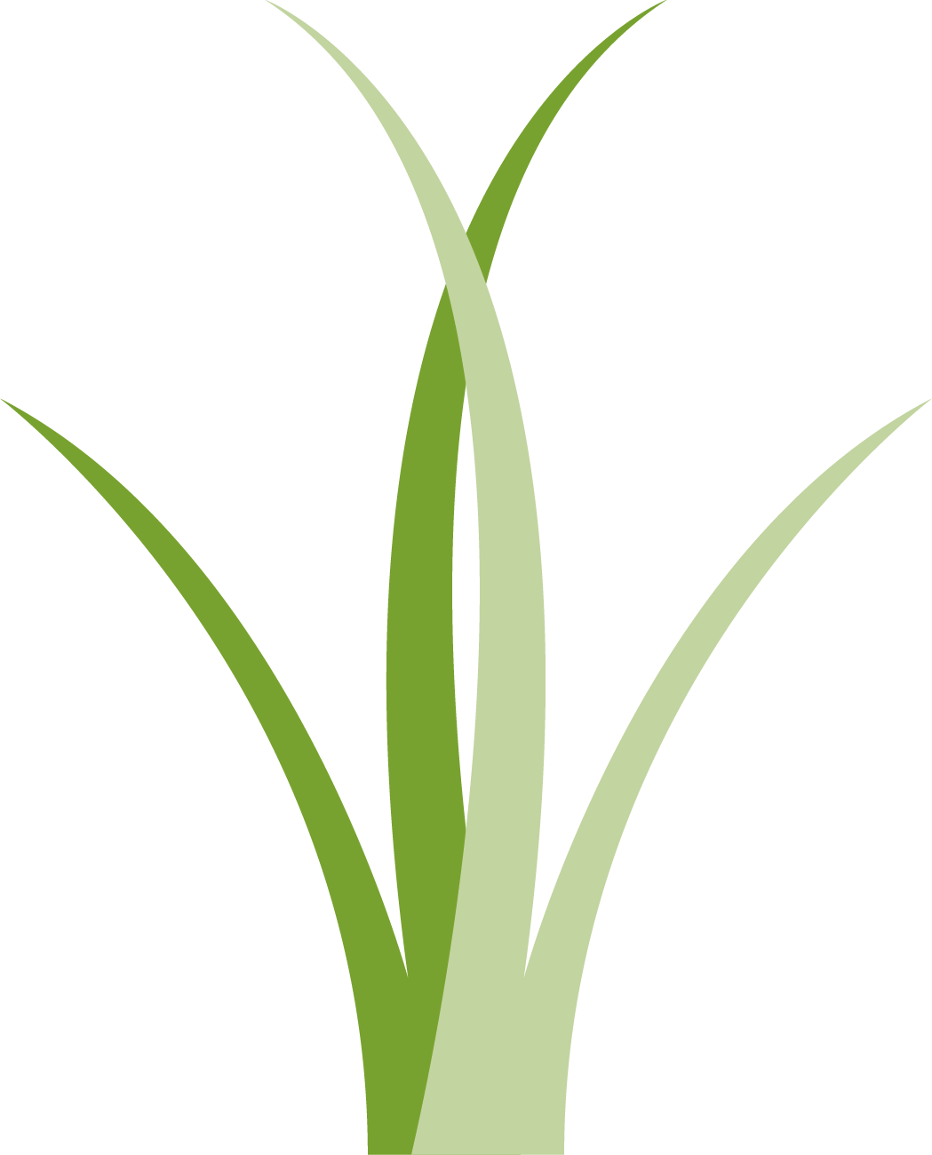 Wiregrass grass logo